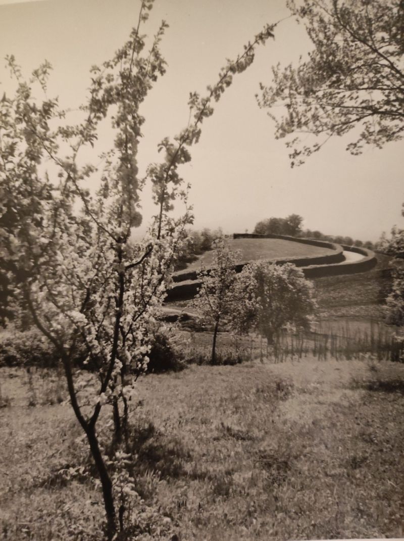 Okolica Zagreba - Proljeće (Foto Tošo Dabac)